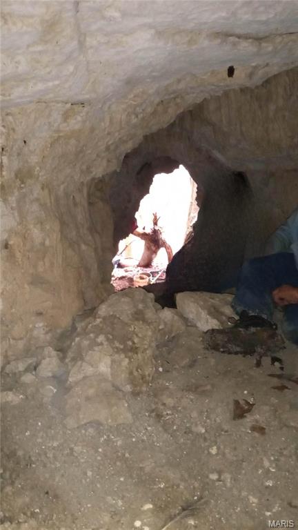 84-ac Buechele Road New Florence, MO 63363 - Photo 21 of 48