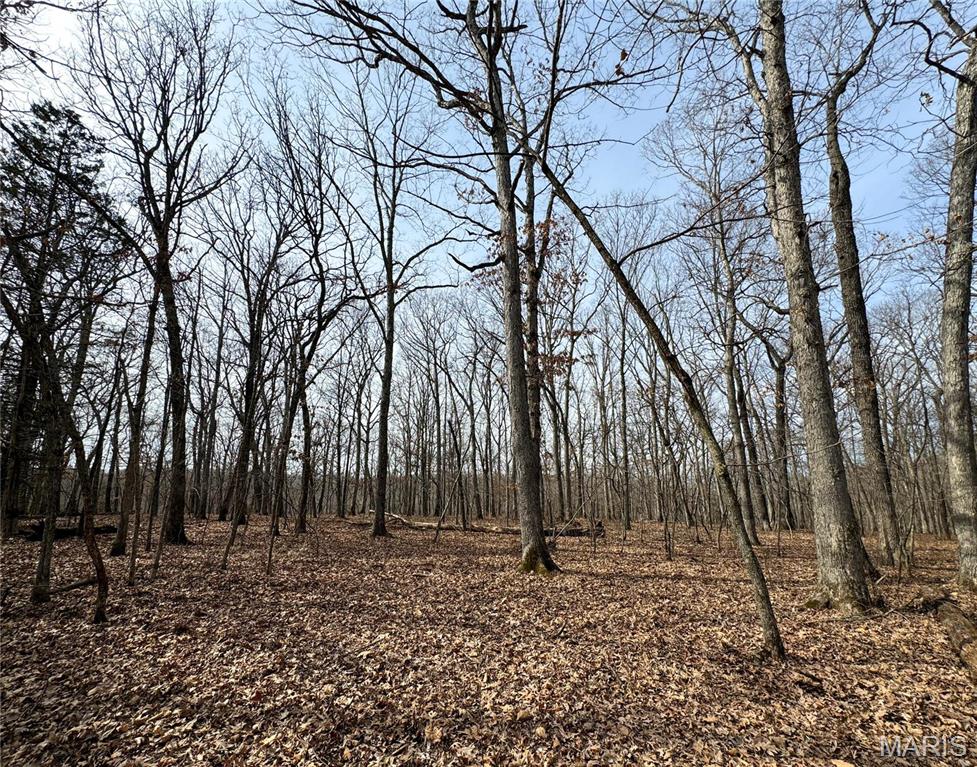 84-ac Buechele Road New Florence, MO 63363 - Photo 22 of 48