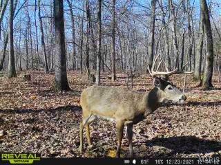 84-ac Buechele Road New Florence, MO 63363 - Photo 23 of 48