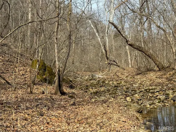 $475,000 | 84-ac Buechele Road, New Florence, MO 63363