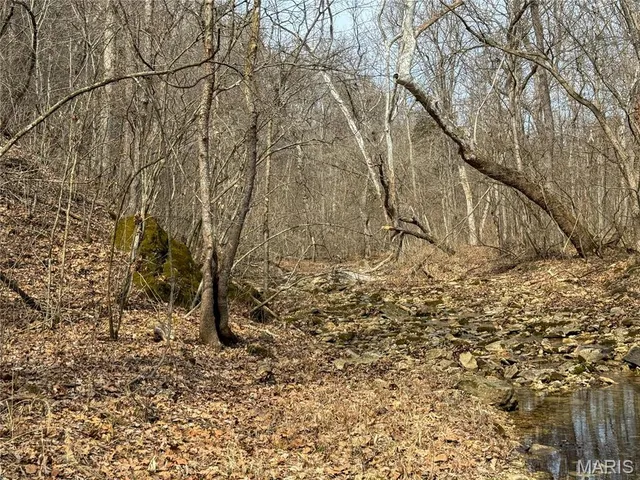 $475,000 | 84-ac Buechele Road, New Florence, MO 63363