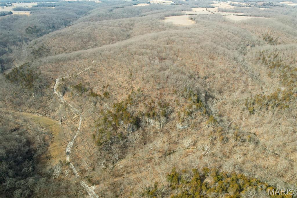 84-ac Buechele Road New Florence, MO 63363 - Photo 30 of 48