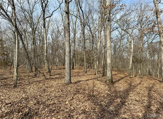 $475,000 | 84-ac Buechele Road, New Florence, MO 63363