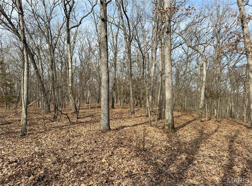 84-ac Buechele Road New Florence, MO 63363 - Photo 33 of 48