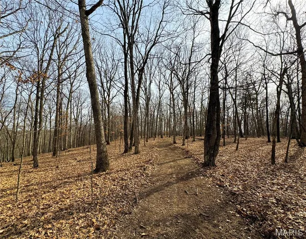 $475,000 | 84-ac Buechele Road, New Florence, MO 63363