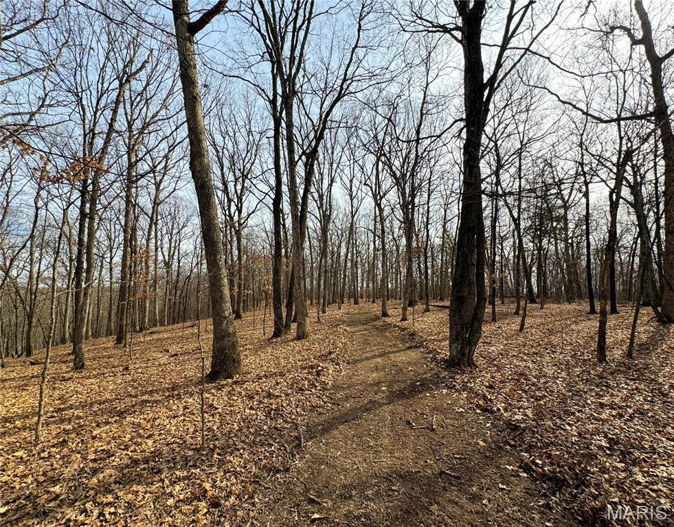 84-ac Buechele Road New Florence, MO 63363 - Photo 34 of 48