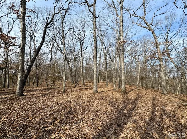 $475,000 | 84-ac Buechele Road, New Florence, MO 63363
