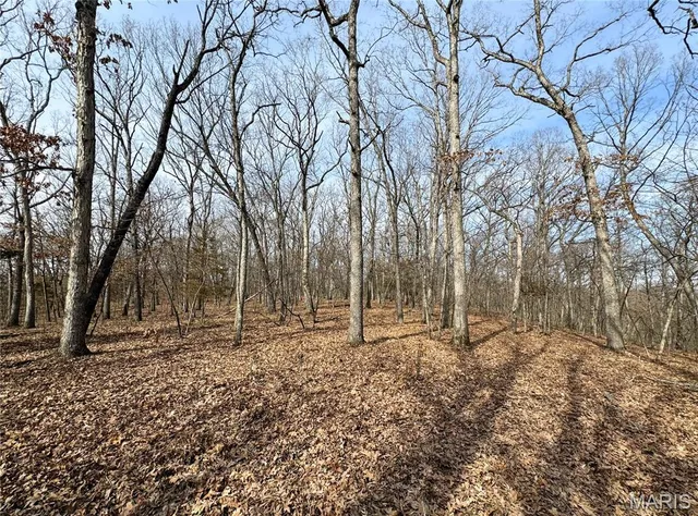 $475,000 | 84-ac Buechele Road, New Florence, MO 63363