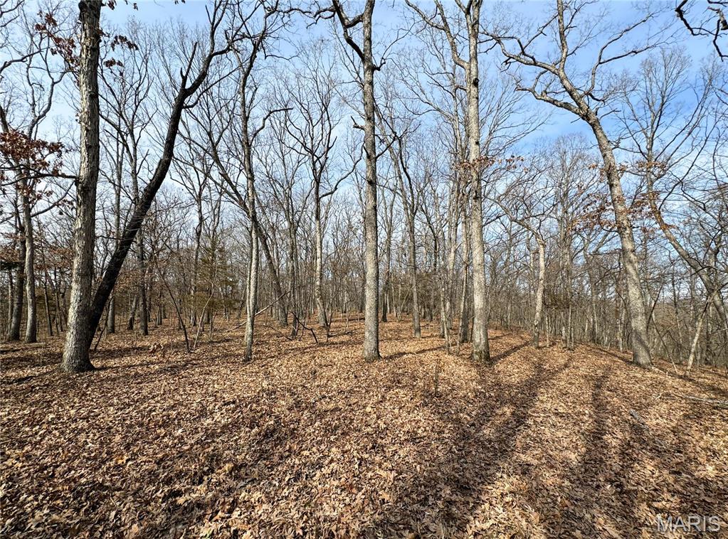 84-ac Buechele Road New Florence, MO 63363 - Photo 35 of 48