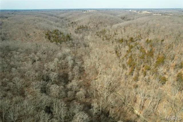 $475,000 | 84-ac Buechele Road, New Florence, MO 63363