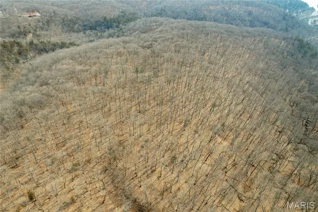 $475,000 | 84-ac Buechele Road, New Florence, MO 63363