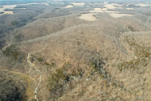 $475,000 | 84-ac Buechele Road, New Florence, MO 63363