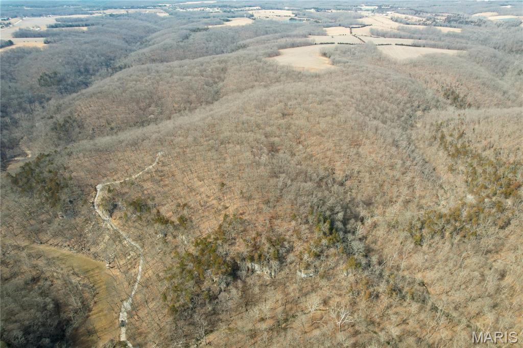 84-ac Buechele Road New Florence, MO 63363 - Photo 38 of 48