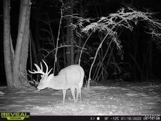 84-ac Buechele Road New Florence, MO 63363 - Photo 39 of 48