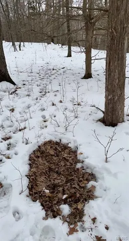 $475,000 | 84-ac Buechele Road, New Florence, MO 63363