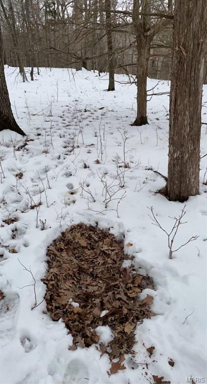 84-ac Buechele Road New Florence, MO 63363 - Photo 40 of 48