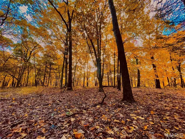 $475,000 | 84-ac Buechele Road, New Florence, MO 63363