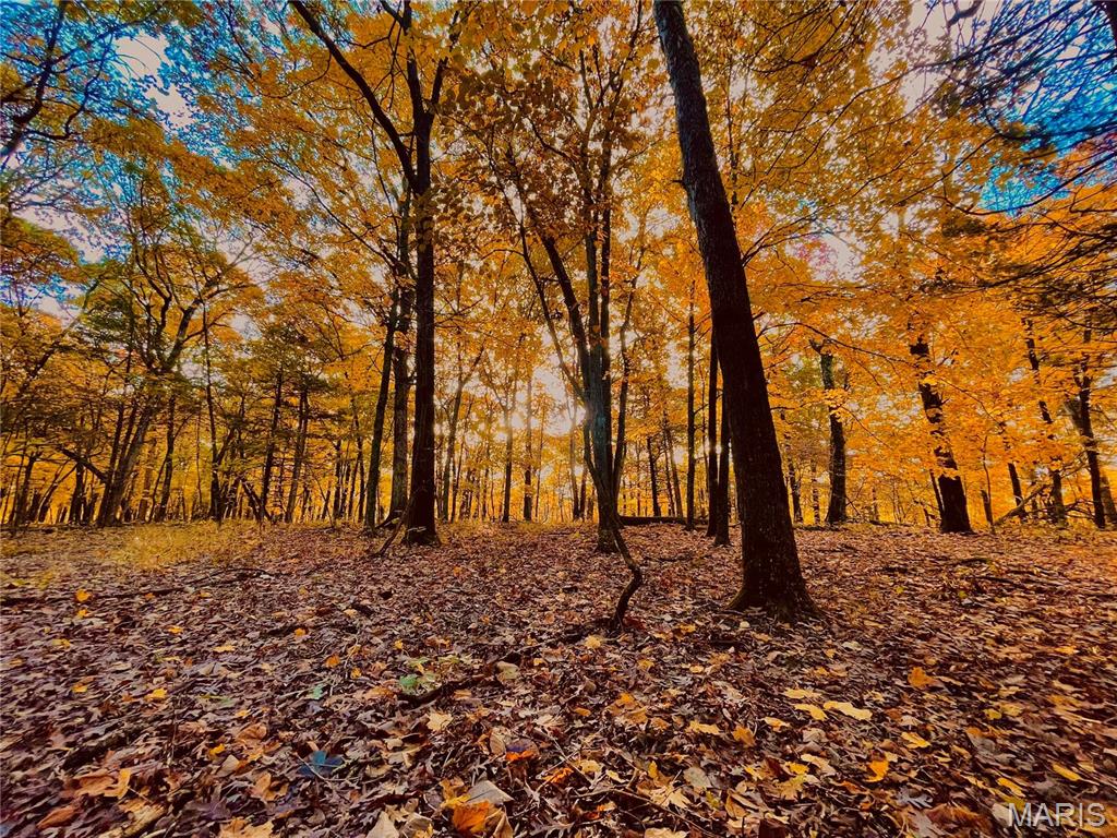84-ac Buechele Road New Florence, MO 63363 - Photo 4 of 48