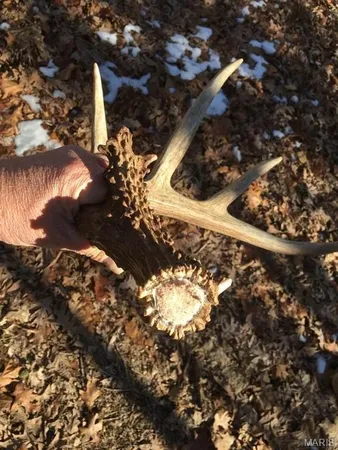 $475,000 | 84-ac Buechele Road, New Florence, MO 63363