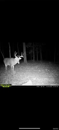 $475,000 | 84-ac Buechele Road, New Florence, MO 63363