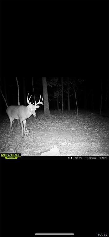 84-ac Buechele Road New Florence, MO 63363 - Photo 47 of 48