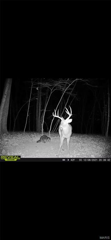 84-ac Buechele Road New Florence, MO 63363 - Photo 48 of 48