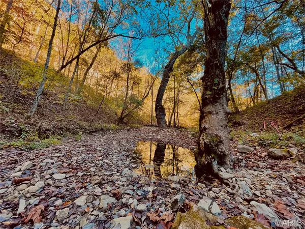 $475,000 | 84-ac Buechele Road, New Florence, MO 63363