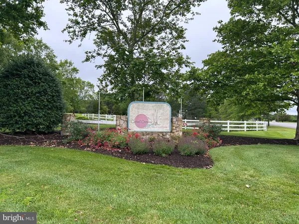 a garden view