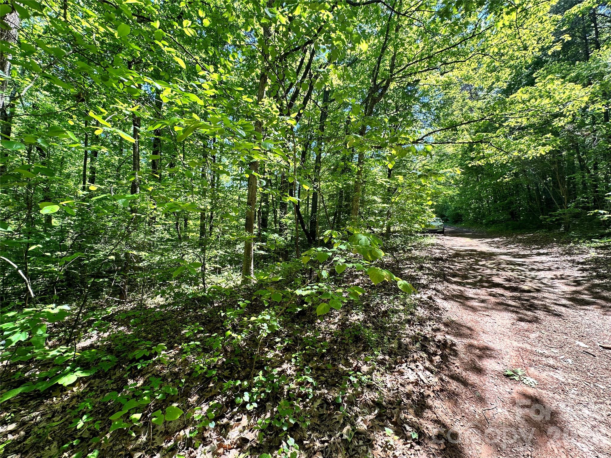 168 Rolling Road Lincolnton, NC 28092 - Photo 14 of 41 Gallery Image 14