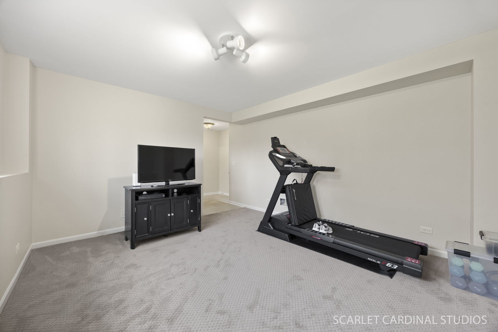 259 Bennett Drive Carol Stream, IL 60188 - Photo 28 of 31 a room with gym equipment and a flat screen tv