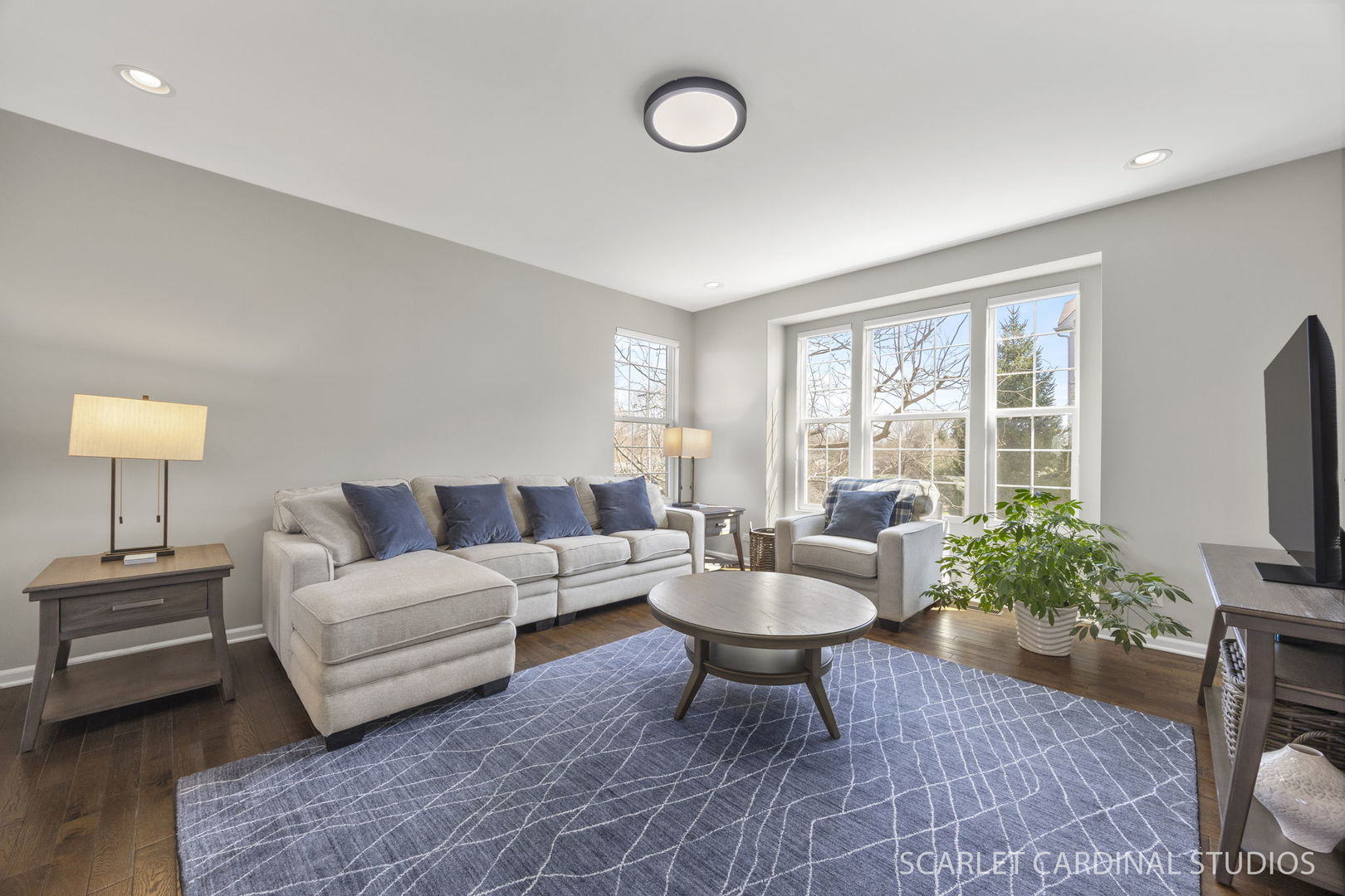 259 Bennett Drive Carol Stream, IL 60188 - Photo 10 of 31 a living room with furniture and a flat screen tv