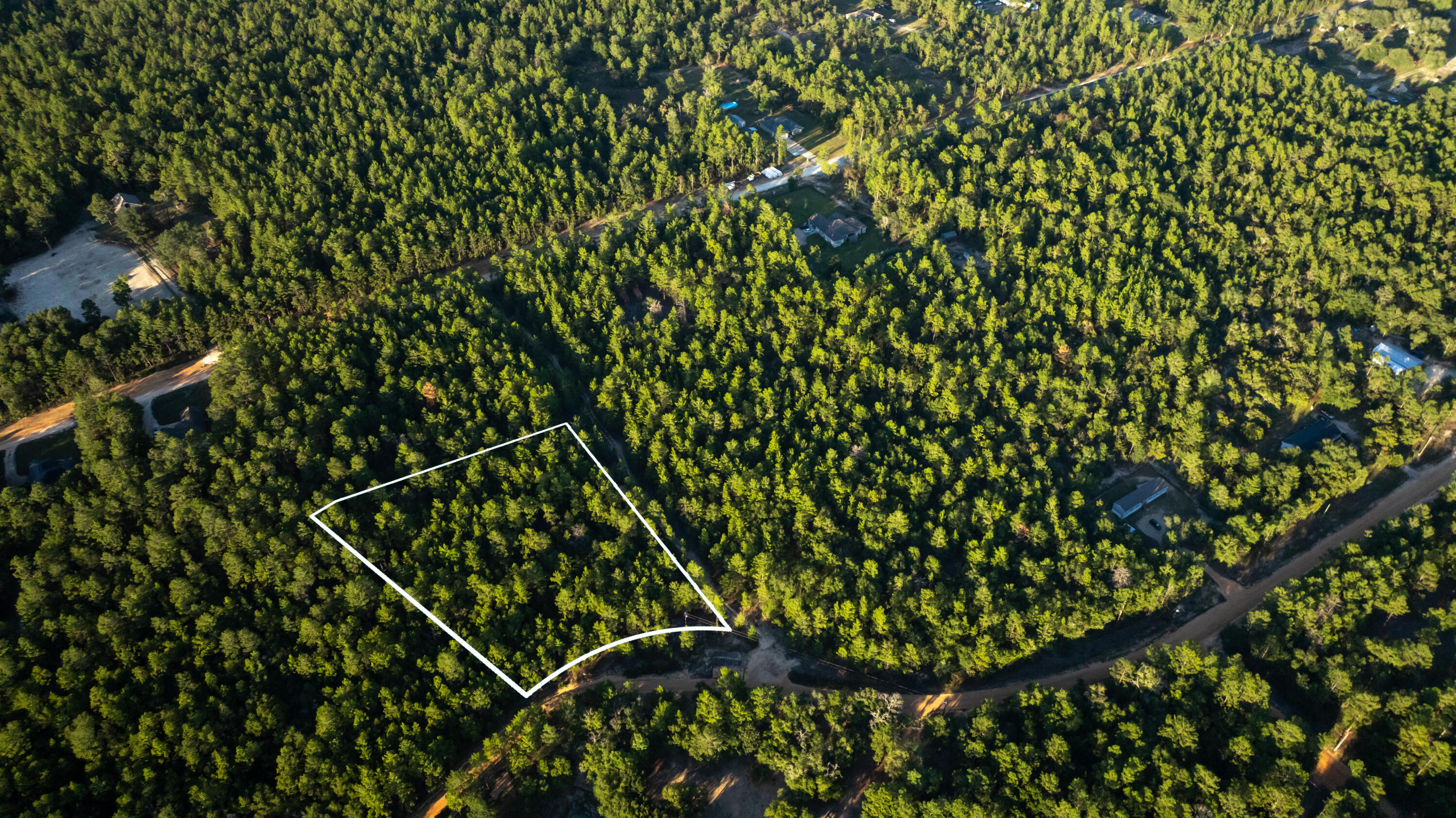 3902 Clearview Drive Crestview, FL 32539 - Photo 3 of 8 a picture of tree