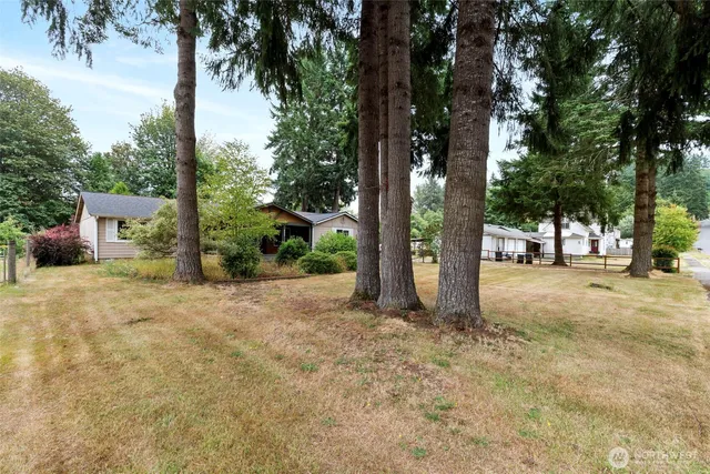 a front view of a house with a yard and a large tree