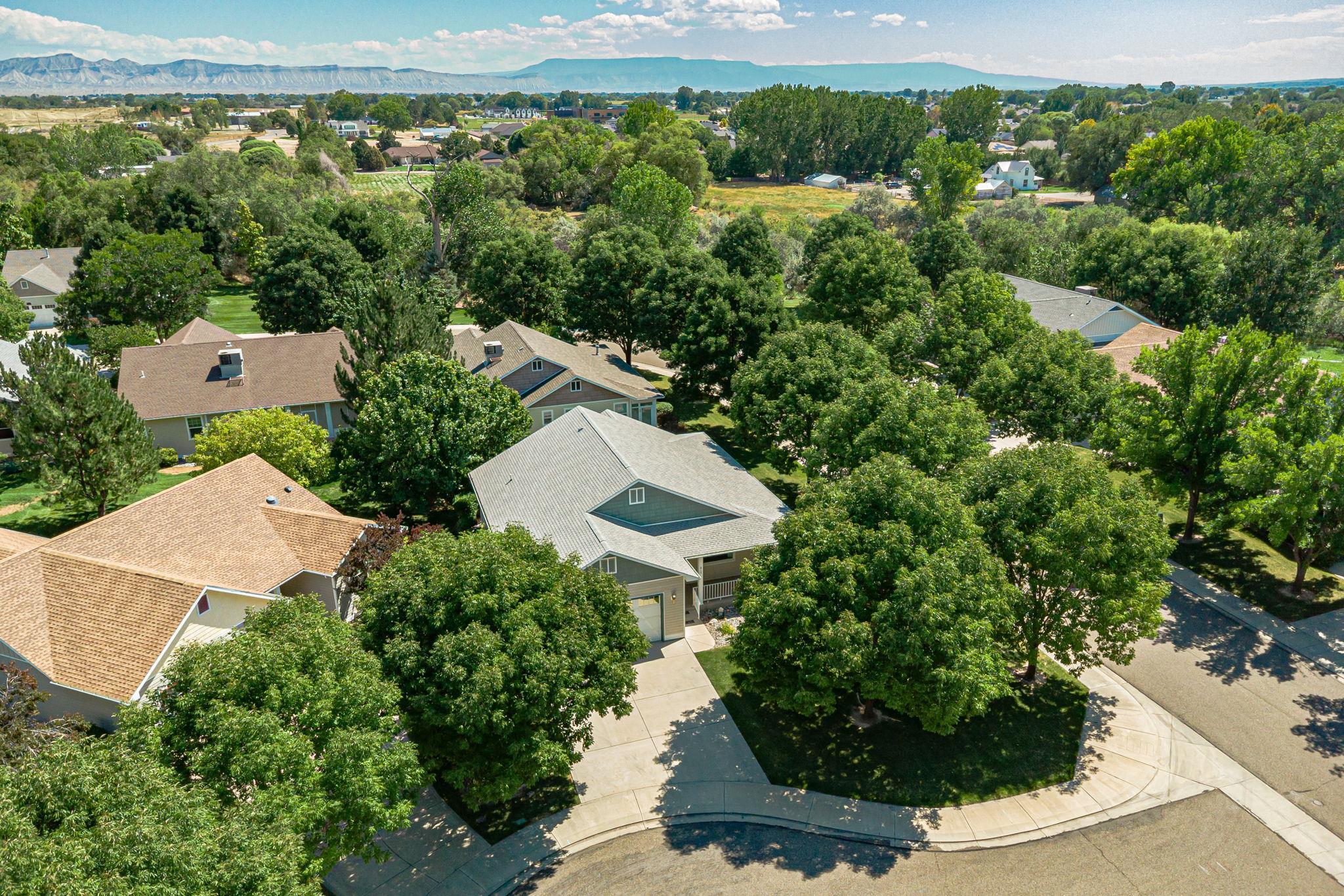 812 Alyssum Court Fruita, CO 81521 - Photo 3 of 41 an aerial view of a house with a yard and lake view