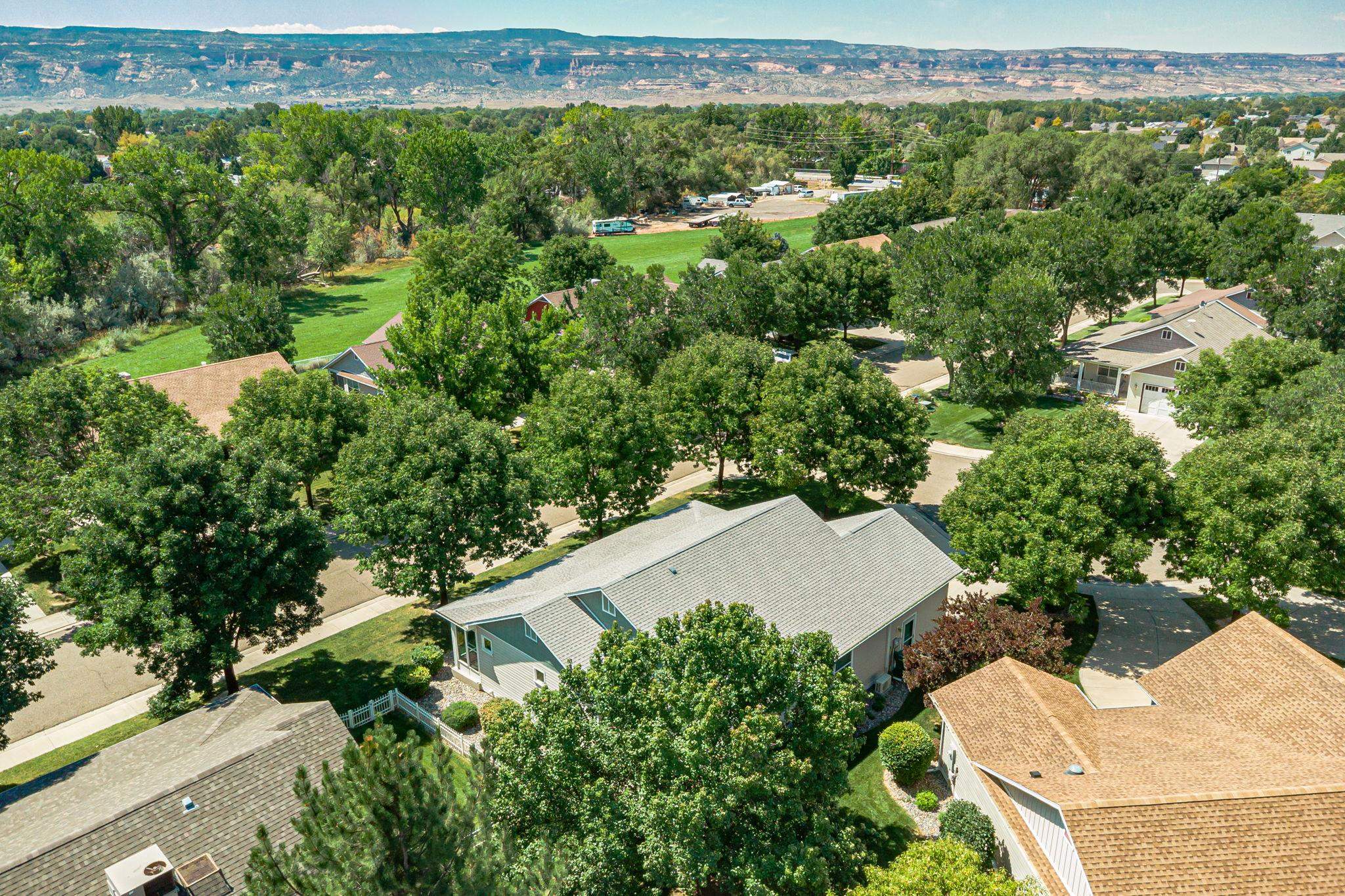 812 Alyssum Court Fruita, CO 81521 - Photo 38 of 41 an aerial view of a house with a yard