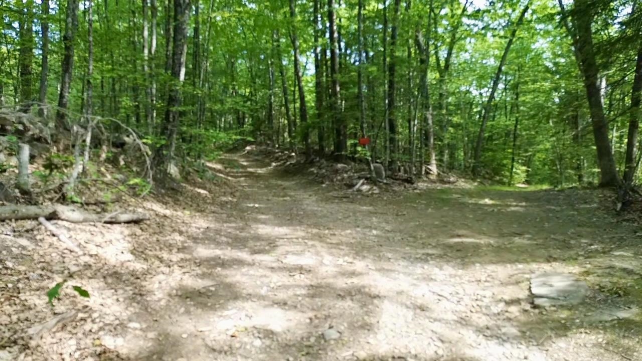 0 Center Road Lyndeborough, NH 03082 - Photo 5 of 5
