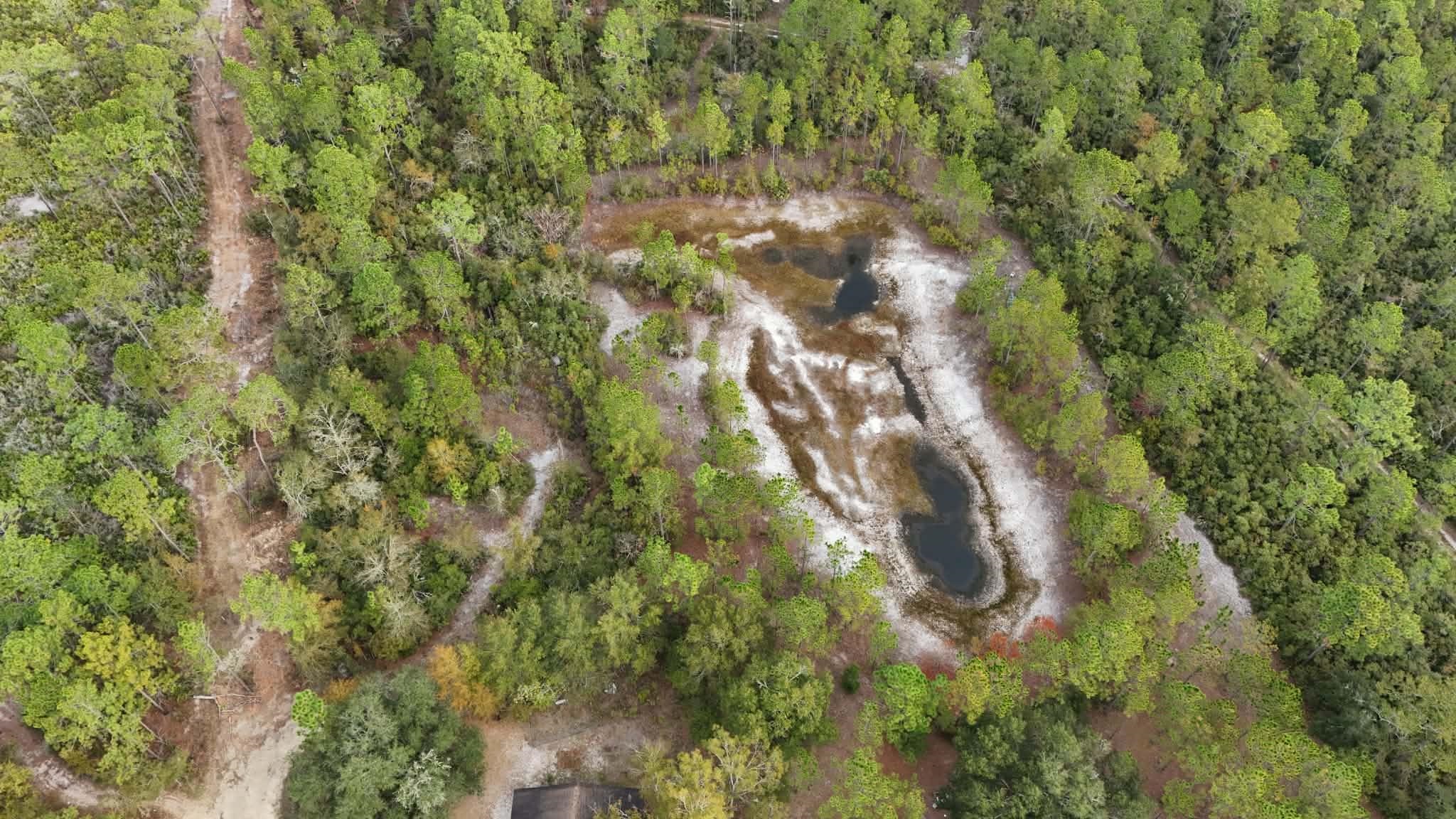 152 Sam Marks Road Crawfordville, FL 32327 - Photo 6 of 18 Gallery Image 6