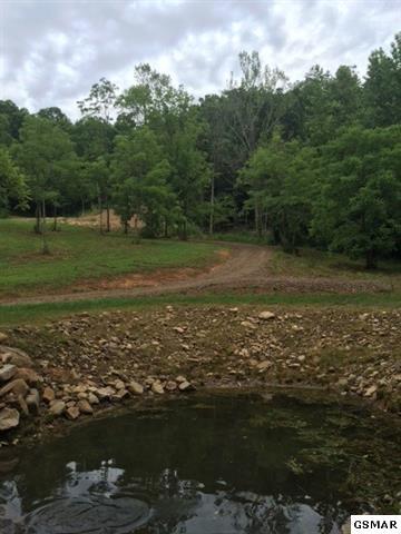 3320 East Highway 25 70 Del Rio, TN 37727 - Photo 12 of 39 12