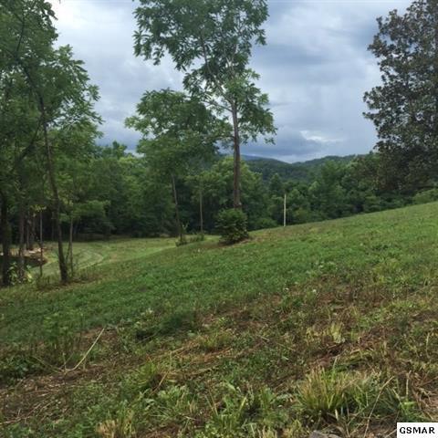 3320 East Highway 25 70 Del Rio, TN 37727 - Photo 14 of 39 4