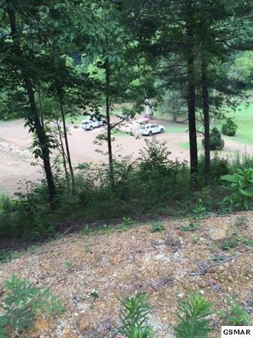 3320 East Highway 25 70 Del Rio, TN 37727 - Photo 15 of 39 6