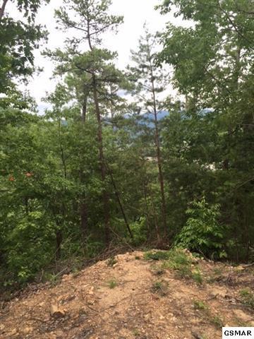 3320 East Highway 25 70 Del Rio, TN 37727 - Photo 17 of 39 9