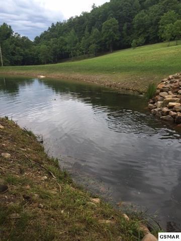 3320 East Highway 25 70 Del Rio, TN 37727 - Photo 24 of 39 19