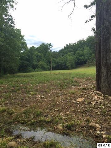 3320 East Highway 25 70 Del Rio, TN 37727 - Photo 28 of 39 23
