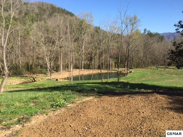 3320 East Highway 25 70 Del Rio, TN 37727 - Photo 29 of 39 24