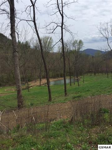 3320 East Highway 25 70 Del Rio, TN 37727 - Photo 31 of 39 26
