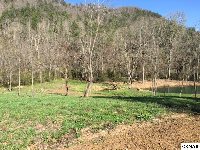 3320 East Highway 25 70 Del Rio, TN 37727 - Photo 33 of 39 28