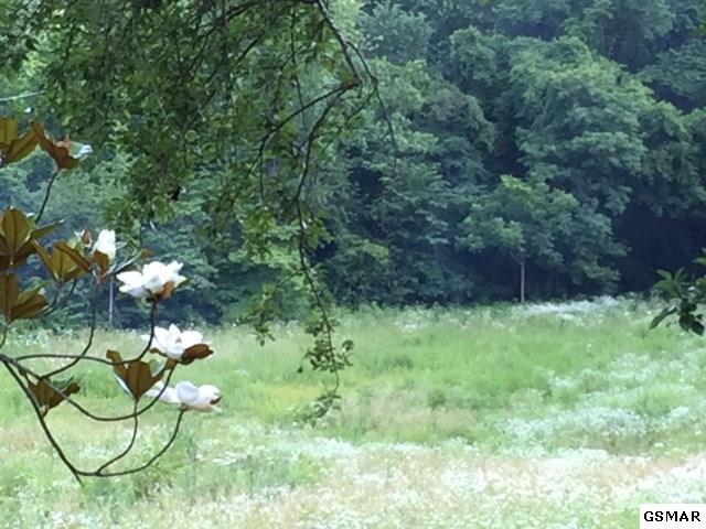 3320 East Highway 25 70 Del Rio, TN 37727 - Photo 37 of 39 32
