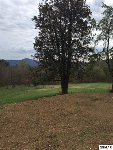 3320 East Highway 25 70 Del Rio, TN 37727 - Photo 39 of 39 34