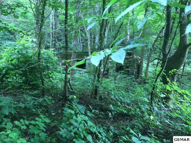 3320 East Highway 25 70 Del Rio, TN 37727 - Photo 9 of 39 9