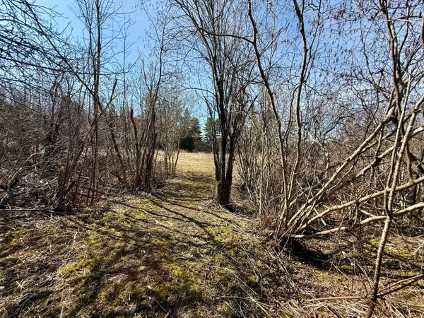 $56,000 | 30 Harrison Road, Dennysville, ME 04628